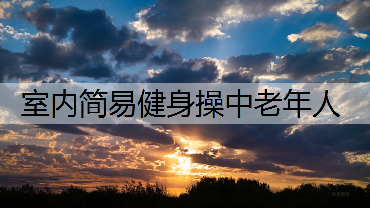 室内简易健身操中老年人